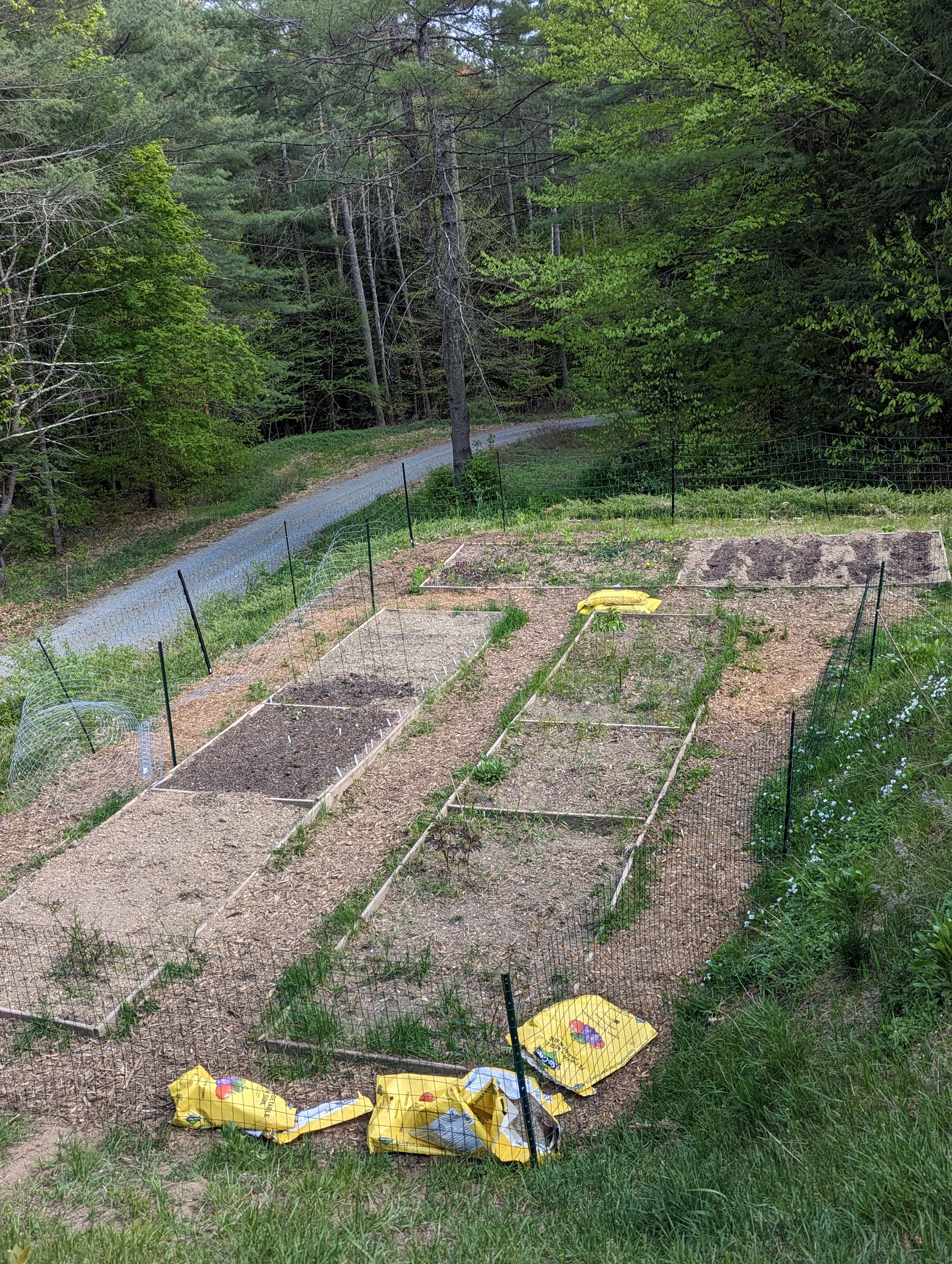 Before garden transformation